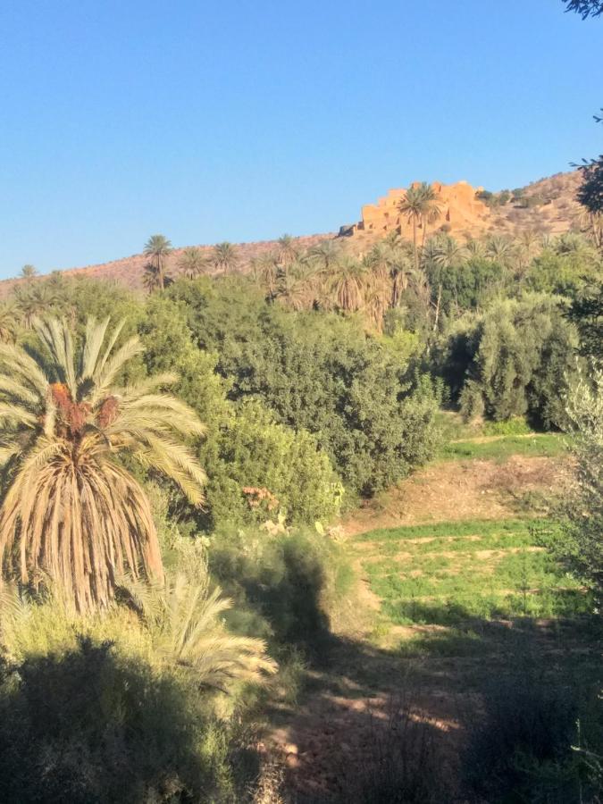 Oasis De Tiout Lägenhet Exteriör bild