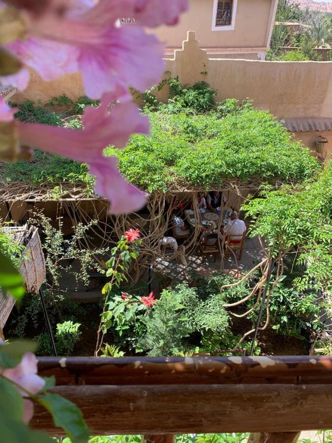 Oasis De Tiout Lägenhet Exteriör bild