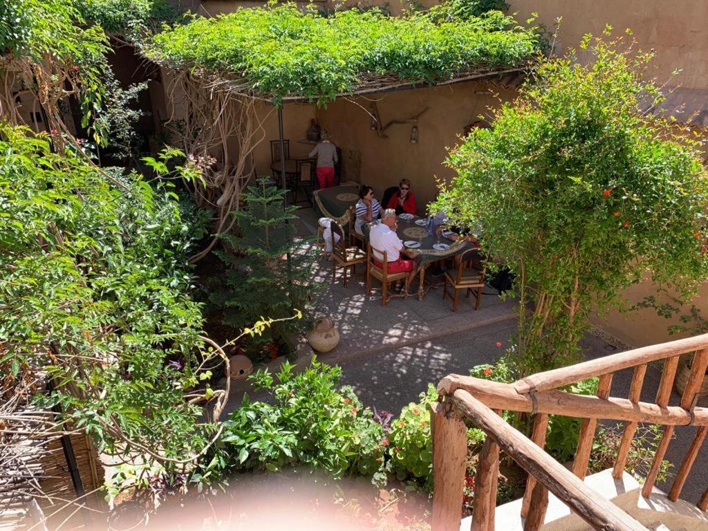 Oasis De Tiout Lägenhet Exteriör bild