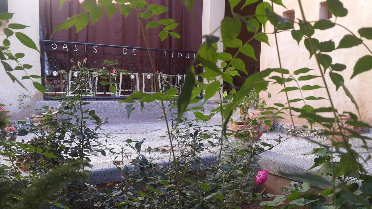 Oasis De Tiout Lägenhet Exteriör bild